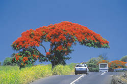Rondreis Mauritius