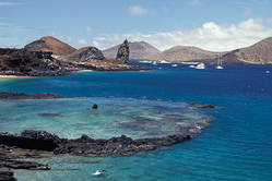 Rondreis Galapagos