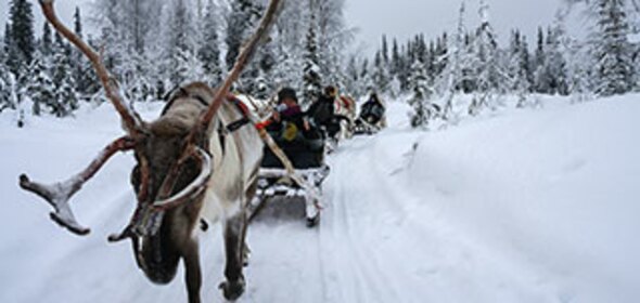 Lapland, 7 dagen