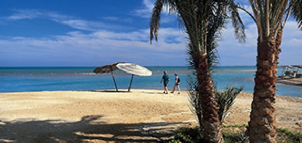 Egypte, 19 dagen