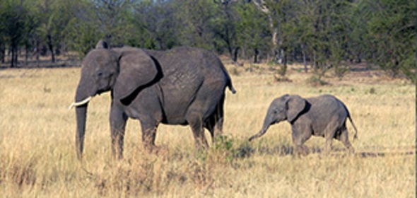 Tanzania & Zanzibar, 21 dagen