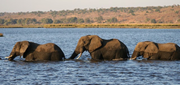 Namibië, Botswana & Victoriawatervallen, 22 dagen