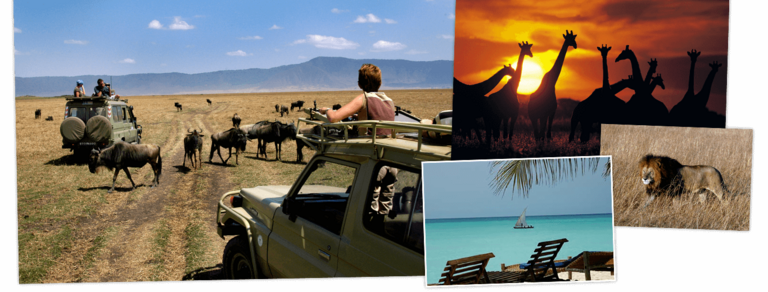 Overzicht Tanzania & Kenia rondreizen van Djoser