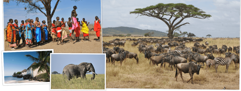 Bekijk de Rondreis Kenia, Tanzania & Zanzibar, 21 dagen kampeerreis van Djoser