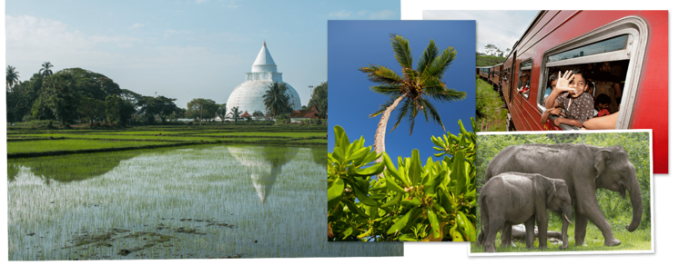 Bekijk de Rondreis Sri Lanka, 15 dagen van Djoser