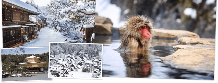 Bekijk de Winterreis Japan, 15 dagen van Djoser