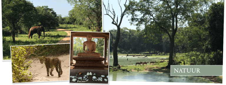 Bekijk de Safarireis Sri Lanka, 15 dagen van Djoser