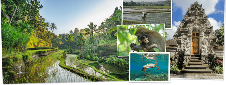 Bekijk de Rondreis Bali, Gili & Lombok, 18 dagen van Djoser