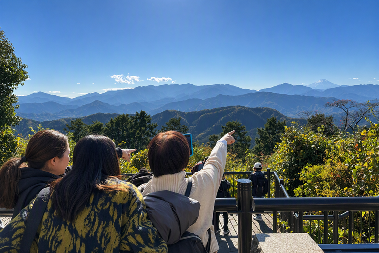 Mensen Mt. Takao Mt. Fuji uitzicht Japan