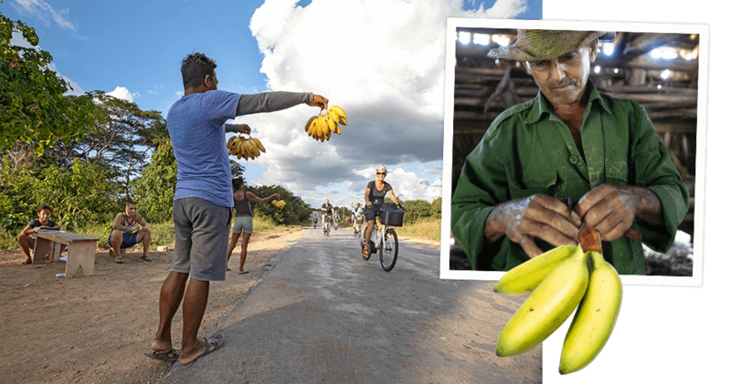 Ontmoetingen op Cuba