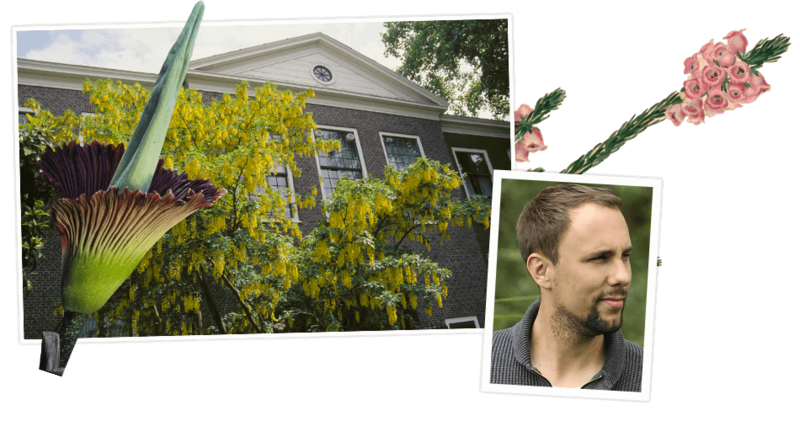 De wonderlijke wereld van planten
