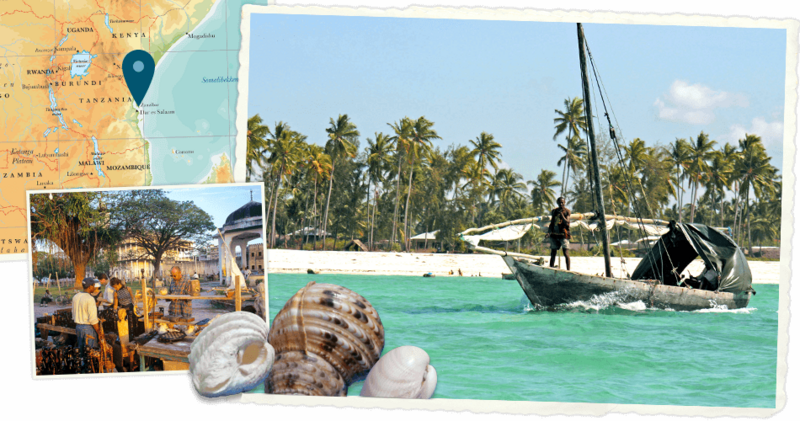 De smeltkroes van Zanzibar