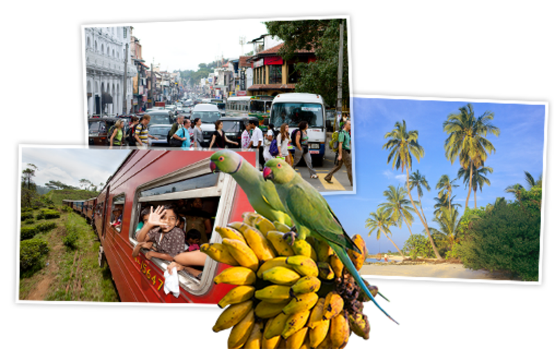 Fragmenten uit een reisdagboek - Sri Lanka & Malediven