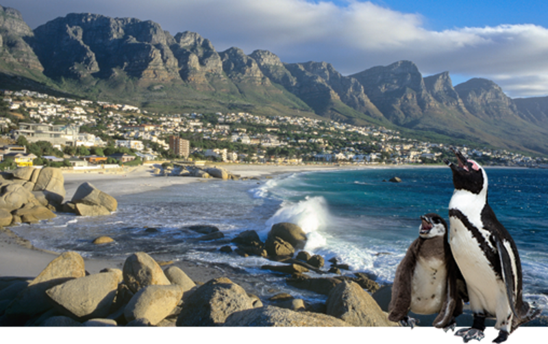 Baie gezellig in de Zuid-Afrikaanse West-Kaap! 
