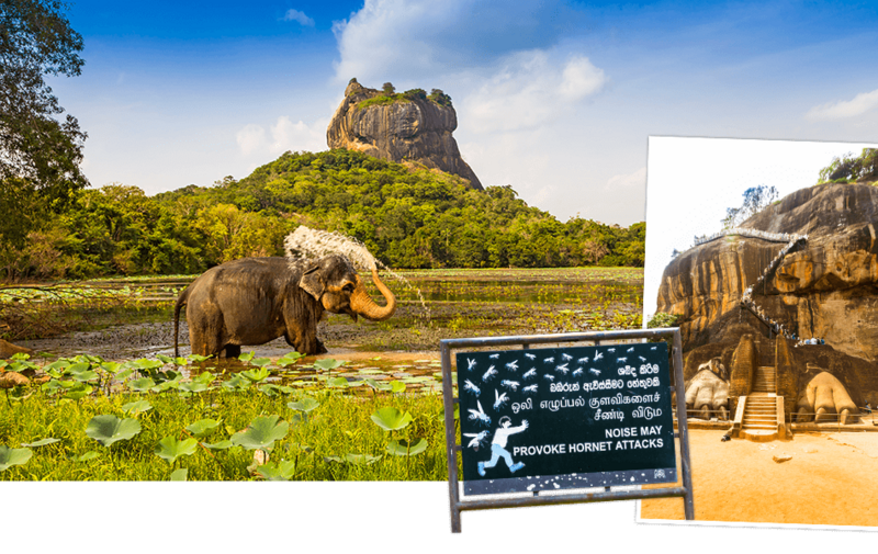 Sigiriya: de rots van koning Kassapa