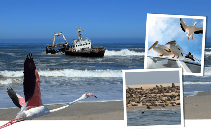De Skeleton Coast