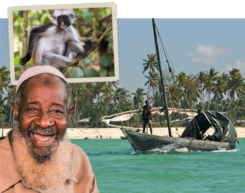 Zanzibar, Magisch kruideneiland