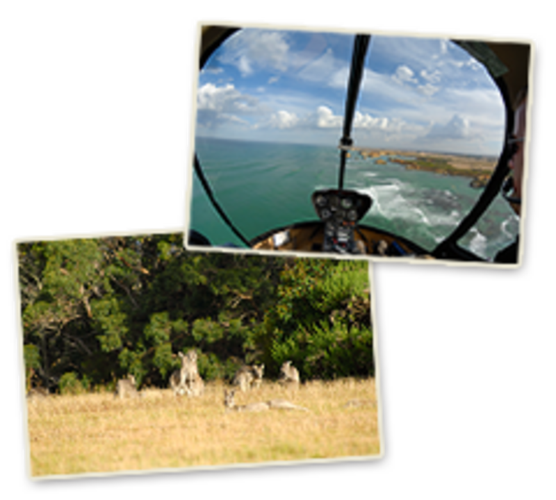 Het pure leven van Zuidoost-Australië