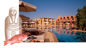 Egypte, 19 dagen