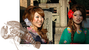 Japan, 21 dagen