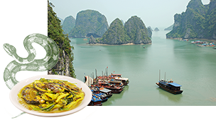 Vietnam, 23 dagen
