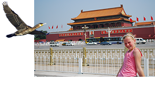 China, 18 dagen