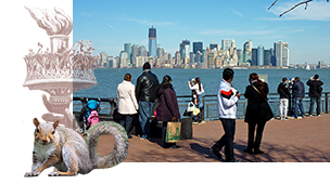 Stedenreis New York, 7 dagen