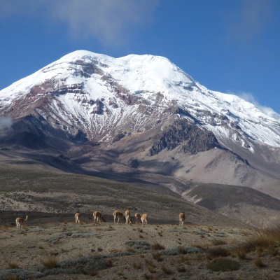 Rondreis Ecuador, 19 dagen
