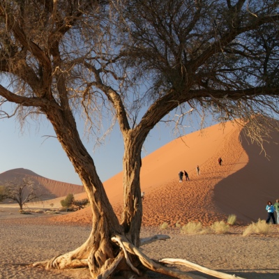 Rondreis Zuid-Afrika, Botswana, Namibië & Victoriawatervallen, 24 dagen kampeerreis
