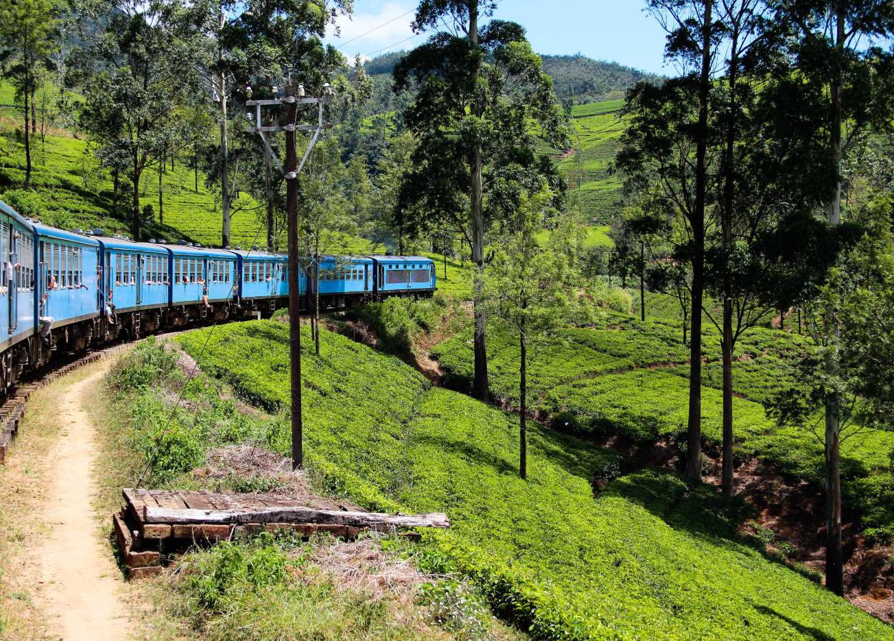 Trein Eliya naar Ella door theeplantage Sri Lanka Djoser
